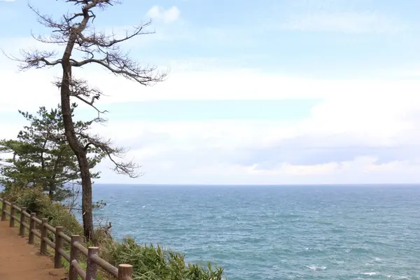 ヤセの断崖の写真・動画_image_97188