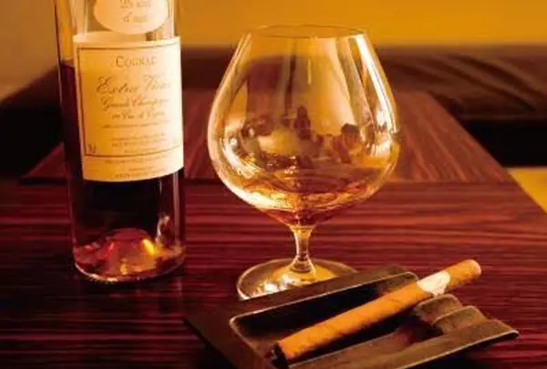 BACCHUS BASSINの写真・動画_image_97239