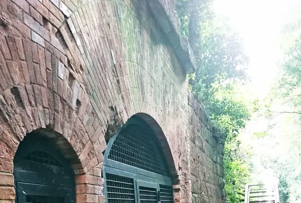 猿島の写真・動画_image_97348