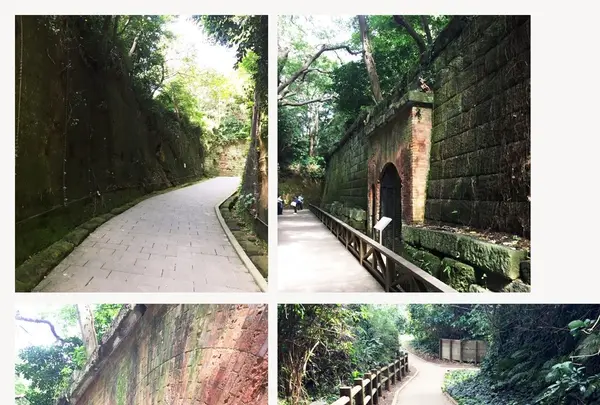 猿島の写真・動画_image_97349