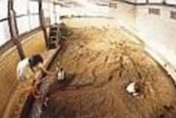 竹瓦温泉の写真・動画_image_97446