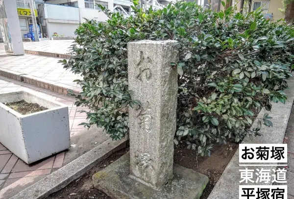 平塚市博物館の写真・動画_image_97456