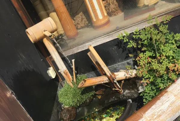 竹あかり辰の写真・動画_image_97487