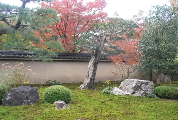 天得院の写真・動画_image_97490