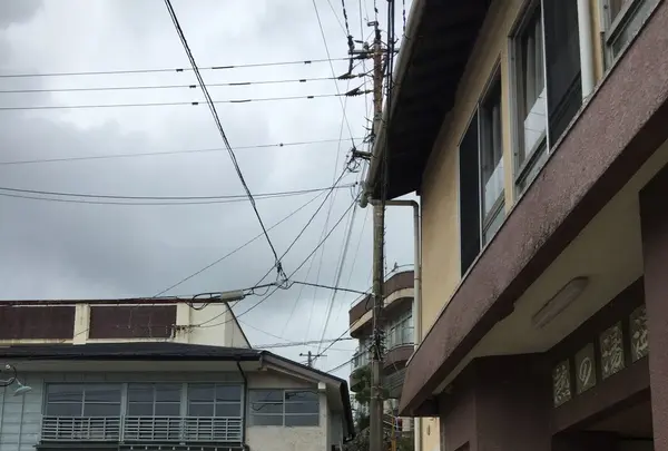 ここちカフェ むすびのの写真・動画_image_97578