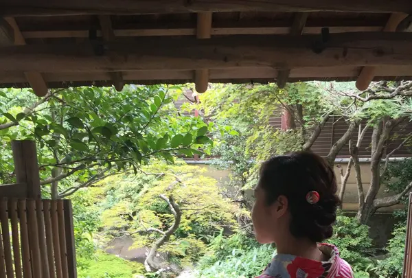 嵐山よしむらの写真・動画_image_97693