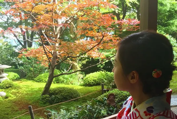 鈴虫寺（華厳寺）の写真・動画_image_97697