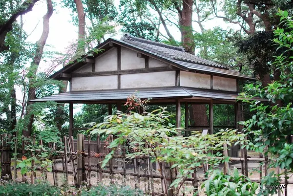 哲学堂公園の写真・動画_image_98021