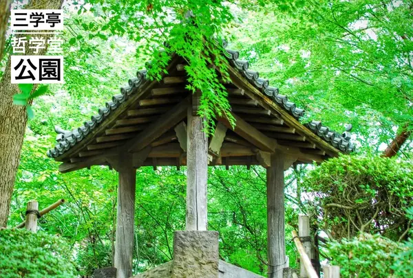 哲学堂公園の写真・動画_image_98022