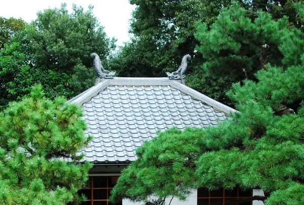 哲学堂公園の写真・動画_image_98027