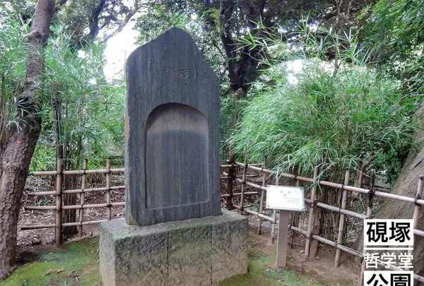 哲学堂公園の写真・動画_image_98036