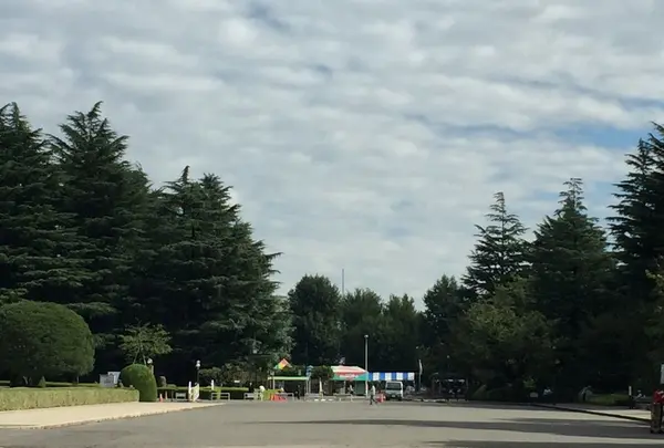 聖徳記念絵画館の写真・動画_image_98064