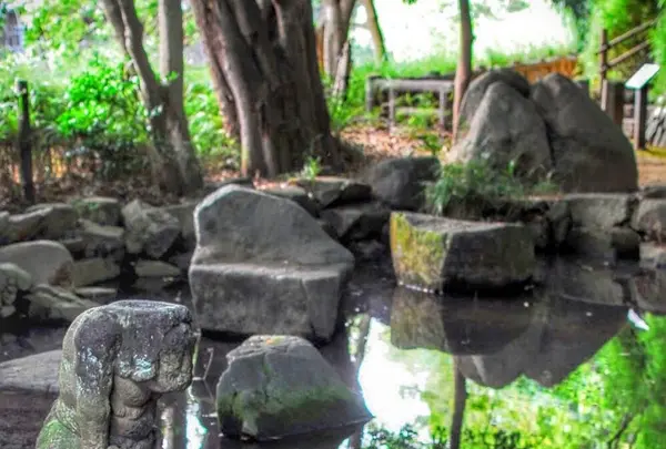 哲学堂公園の写真・動画_image_98070