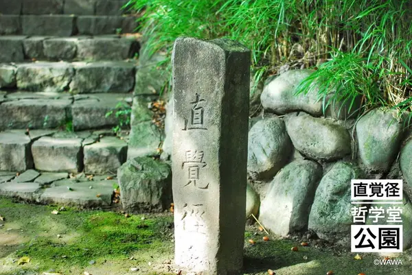 哲学堂公園の写真・動画_image_98071