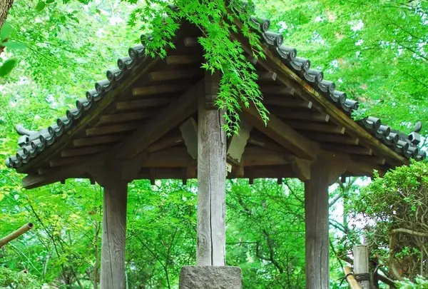 哲学堂公園の写真・動画_image_98075