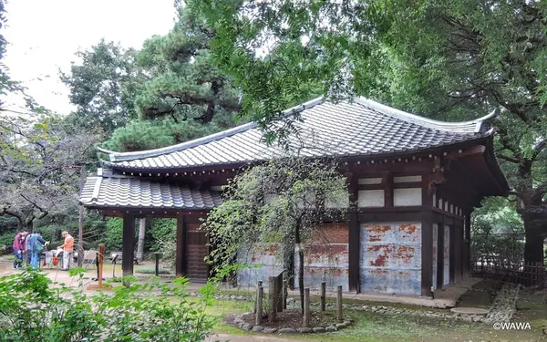 哲学堂公園の写真・動画_image_98076