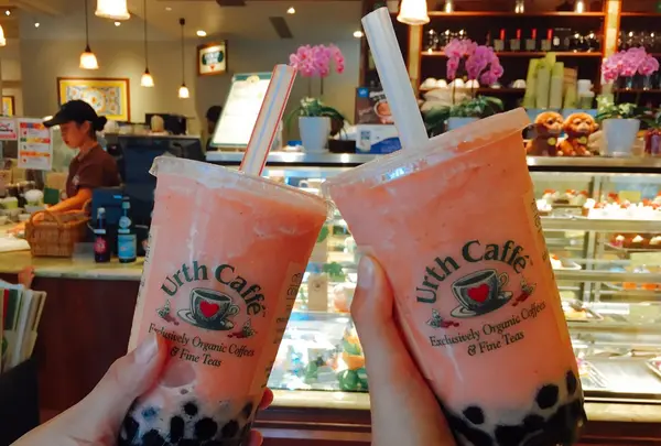 【閉業】Urth Caffe 表参道（アースカフェ）の写真・動画_image_98158