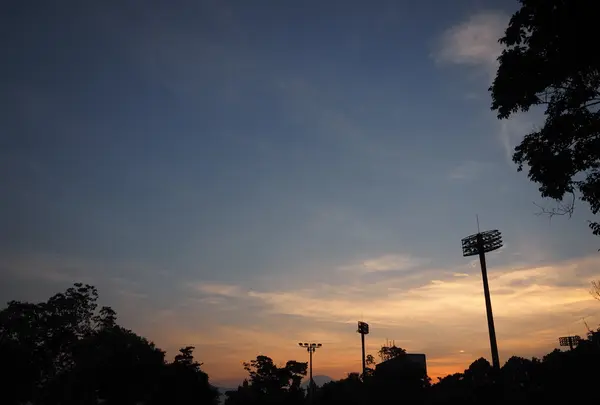 上府中公園の写真・動画_image_98322