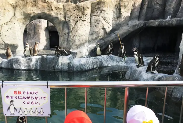 福山市立動物園の写真・動画_image_98333