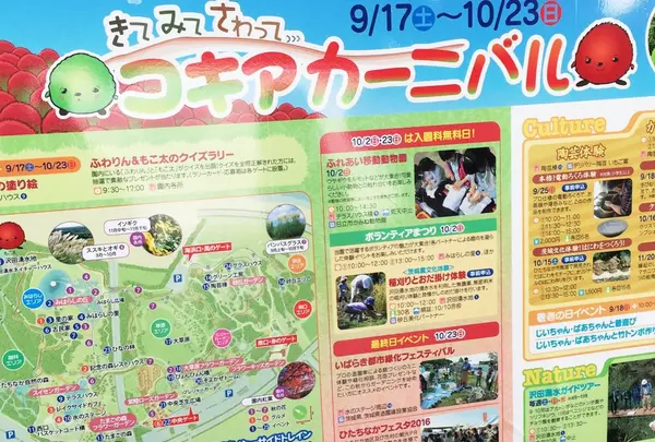 国営ひたち海浜公園の写真・動画_image_98387