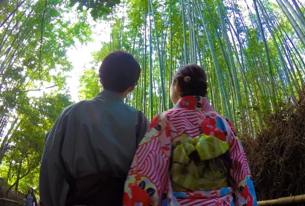 嵯峨野トロッコ列車の写真・動画_image_98422