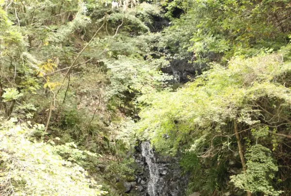 白髭大岩の写真・動画_image_98462