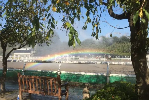 馬事公苑の写真・動画_image_98490