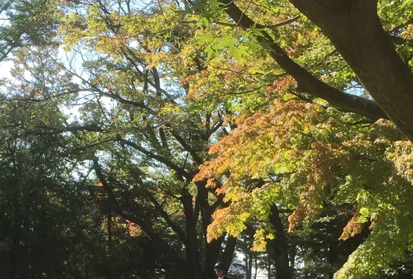 馬事公苑の写真・動画_image_98491