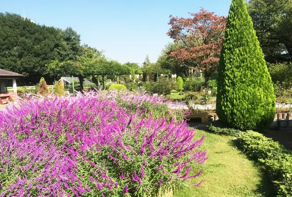 馬事公苑の写真・動画_image_98496