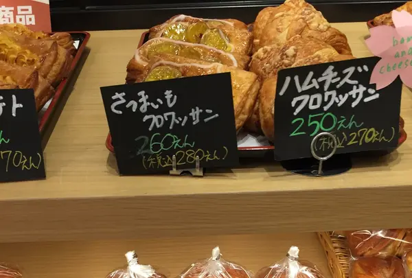 まるごとにっぽんの写真・動画_image_98525