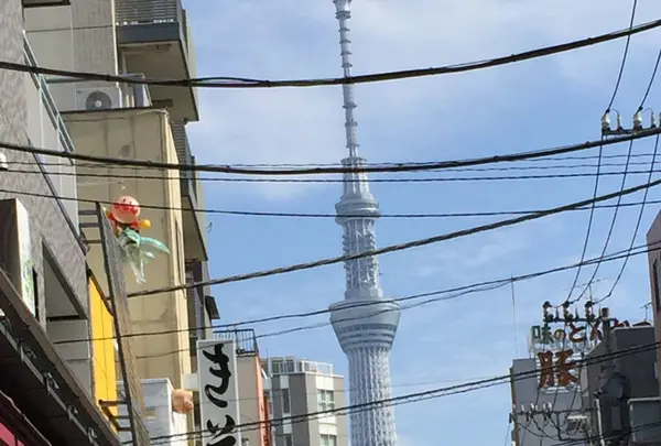 合羽橋道具街の写真・動画_image_98539