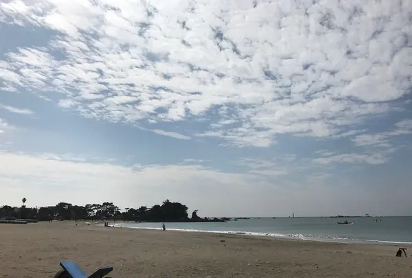 森戸海岸の写真・動画_image_98549