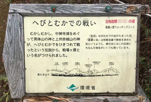 戦場ヶ原の写真・動画_image_98591