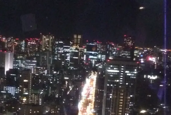 東京タワーの写真・動画_image_99116