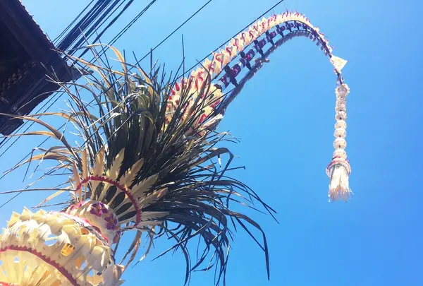 Ubudの写真・動画_image_99266