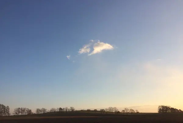 イージーリビングテラス Ｂ＆Ｂの写真・動画_image_99290