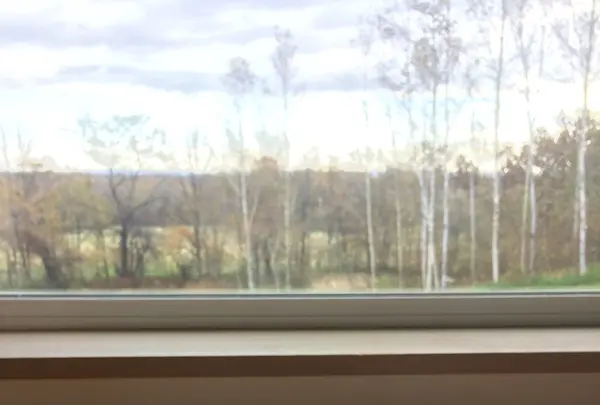 イージーリビングテラス Ｂ＆Ｂの写真・動画_image_99291