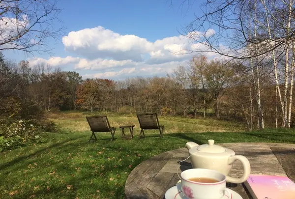 イージーリビングテラス Ｂ＆Ｂの写真・動画_image_99293