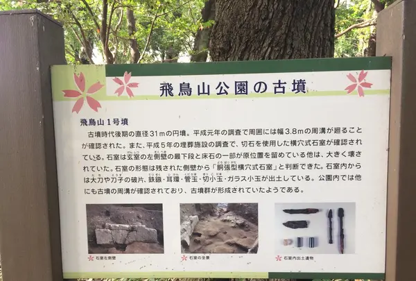 飛鳥山公園の写真・動画_image_99523