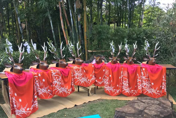 宇和津彦神社の写真・動画_image_99750