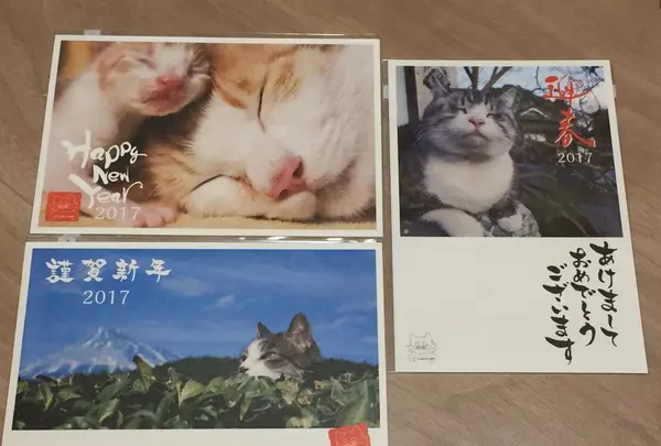渋谷郵便局の写真・動画_image_99853