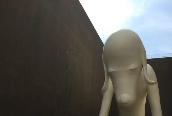 青森県立美術館の写真・動画_image_99905