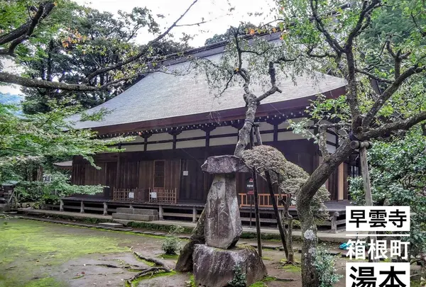 早雲寺の写真・動画_image_99967