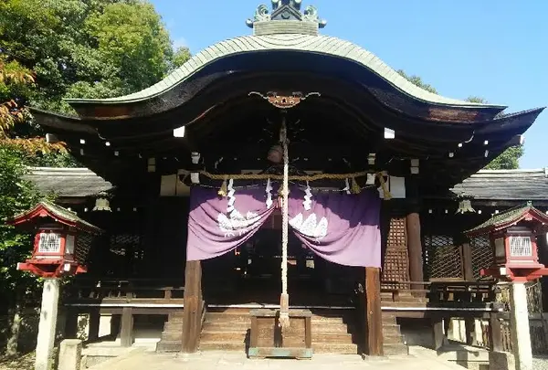 離宮八幡宮の写真・動画_image_99996
