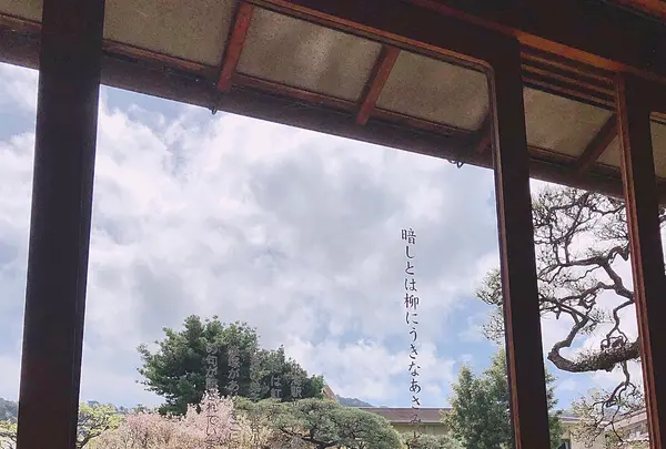 起雲閣の写真・動画_image_1000680