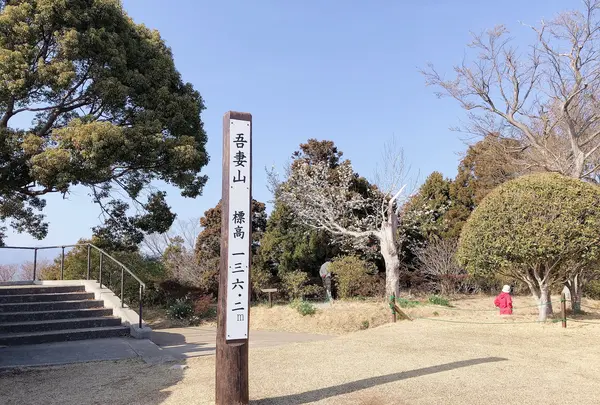 吾妻山公園の写真・動画_image_1000700