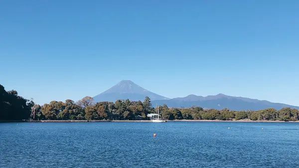 大瀬崎の写真・動画_image_1000704