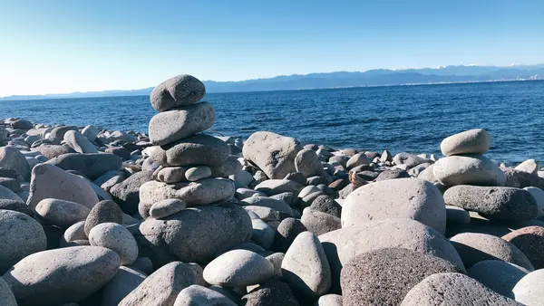 大瀬崎の写真・動画_image_1000706