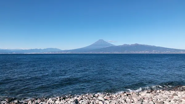 大瀬崎の写真・動画_image_1000708
