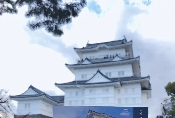 小田原城の写真・動画_image_1000710